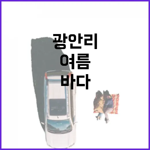 광안리 바다도서관, 여름 독서 명소로 부상
