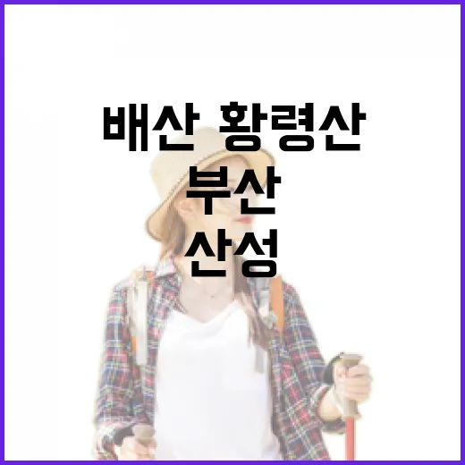 부산 배산·황령산 산성의 역사와 문화