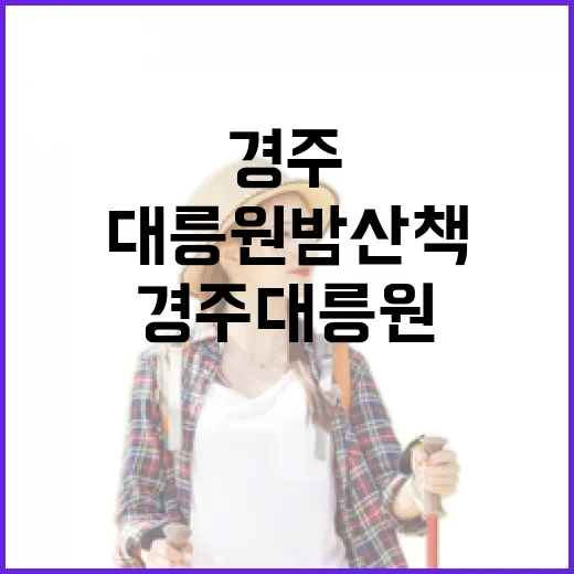 경주대릉원 밤 산책의 매력