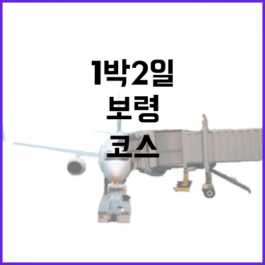 보령 1박2일 완벽 코스 공개