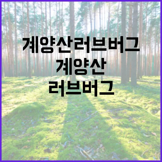 계양산 러브버그 대발생 철저 대응체계 구축