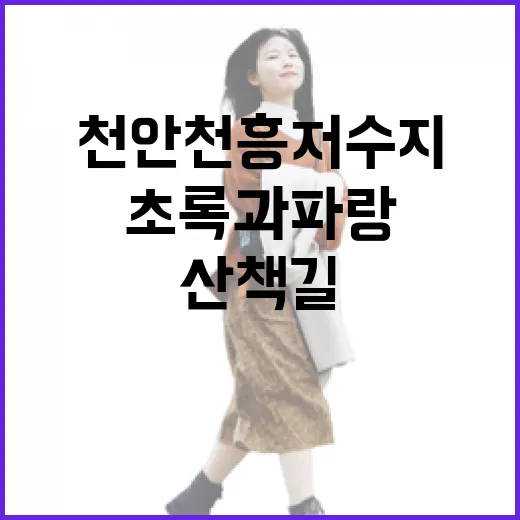 천안 천흥저수지 초록과 파랑의 산책길