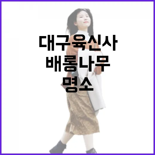대구 육신사 배롱나무꽃 명소