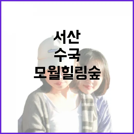 서산 모월힐링숲 수국 산책기