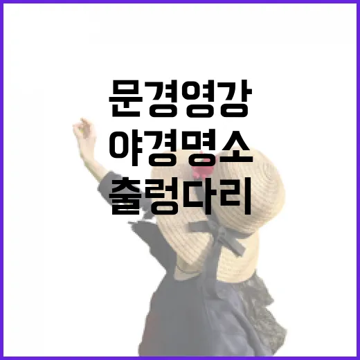 문경 영강 출렁다리 야경 명소