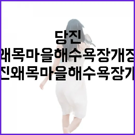 당진 왜목마을 해수욕장 개장 현장
