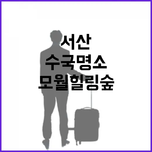 서산 모월힐링숲, 부부가 가꾼 수국 명소