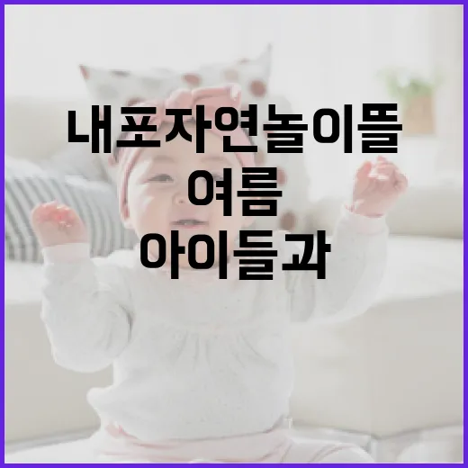 내포 자연놀이뜰, 아이들과 여름 힐링 명소