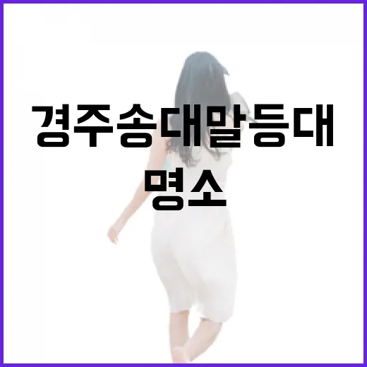 경주 송대말등대, 여름 물놀이와 빛 전시의 명소
