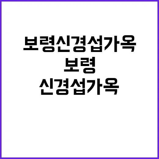 보령 신경섭 가옥에서 만나는 전통과 공존의 미학