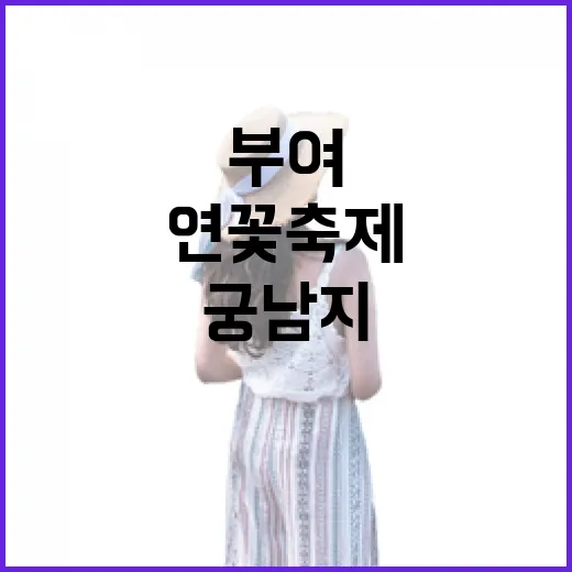 부여 궁남지 연꽃축제, 사랑과 자연의 향연