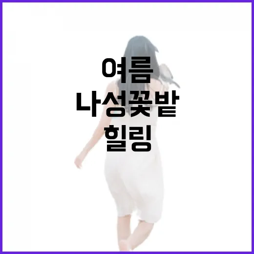나성 꽃밭, 도심 속 여름 힐링 명소