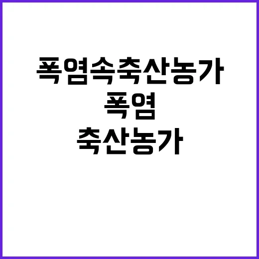 폭염 속 축산농가 …