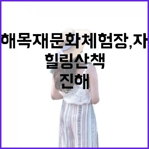 진해 목재문화체험장, 자연과 함께하는 힐링 산책