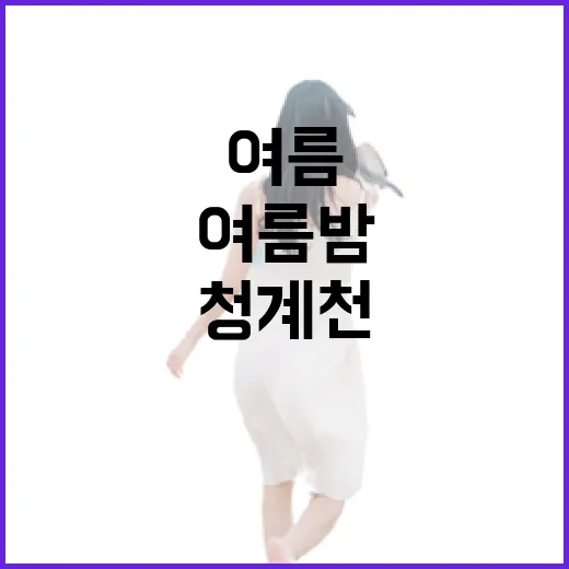 청계천서 만나는 여름밤 피서 명소