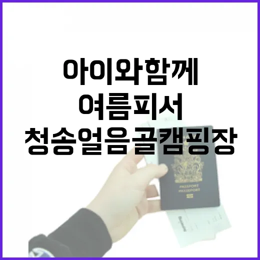 청송얼음골캠핑장, 아이와 함께하는 여름 피서 명소