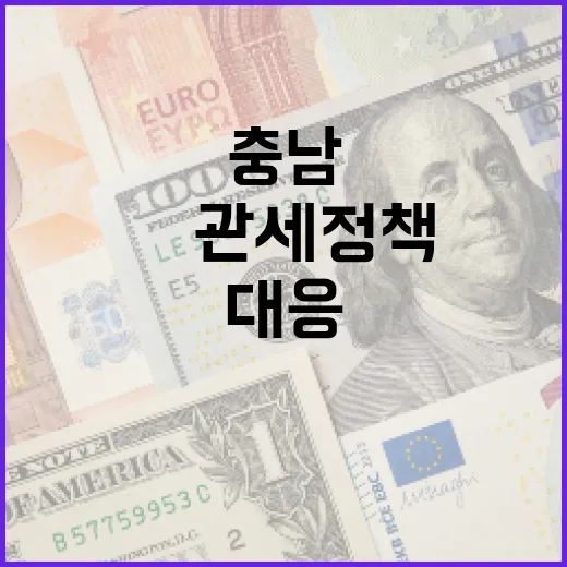 충남, 美 관세정책 신속 대응 점검