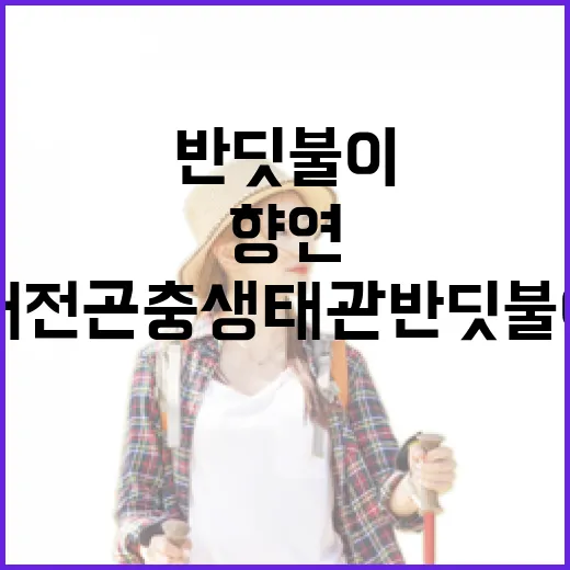 대전곤충생태관 반딧불이 4만마리 빛의 향연