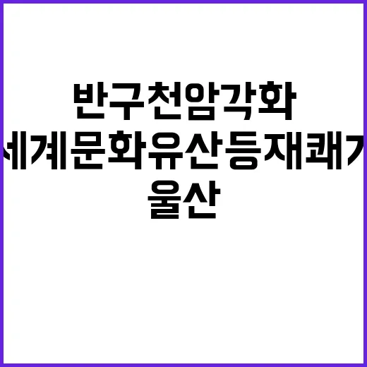 울산 반구천 암각화, 세계문화유산 등재 쾌거
