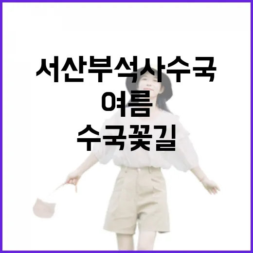 서산 부석사 수국 꽃길의 여름 풍경