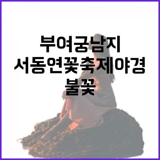 부여 궁남지 서동연꽃축제 야경과 불꽃의 향연