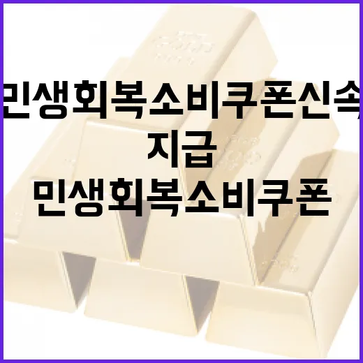민생회복 소비쿠폰 신속 지급 협력 강화