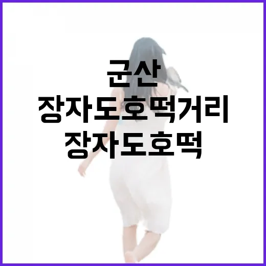 군산 장자도 호떡거리, 바다와 노을이 어우러진 특별한 맛길