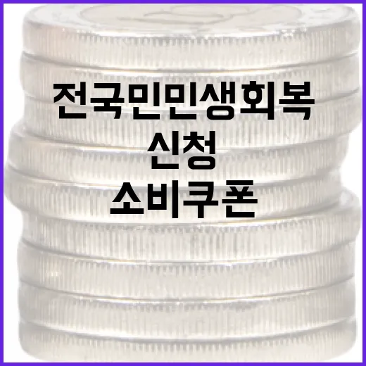 전 국민 민생회복 소비쿠폰, 신청부터 사용까지