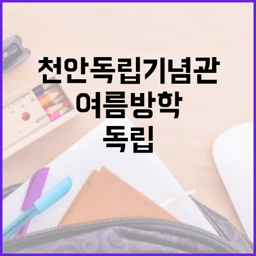 천안 독립기념관 여름방학 체험관 인기