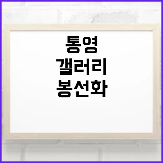 통영 봉선화 갤러리, 고양이 시선으로 세상 탐험