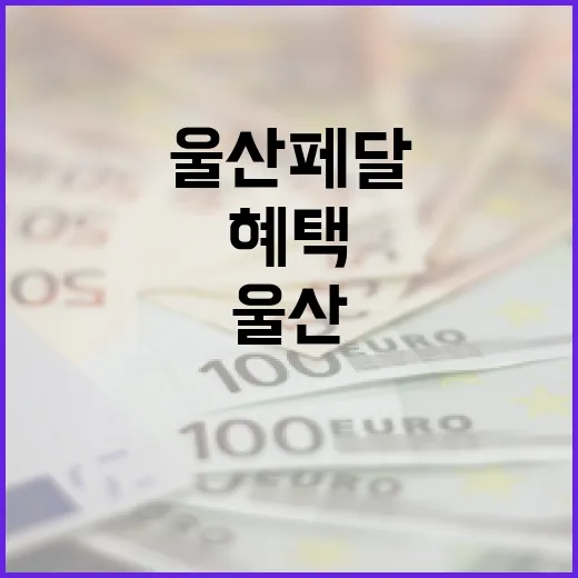 울산페달로 시원한 여름 배달 혜택