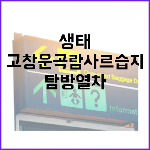 고창 운곡 람사르습지 생태 탐방 열차 체험