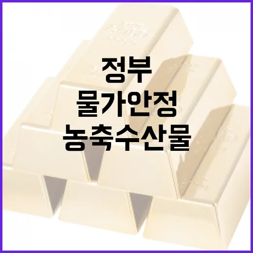 정부, 농축수산물 물가 안정 위한 실효성 강화