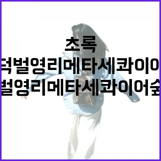 영덕 벌영리 메타세콰이어 숲의 초록 힐링 산책길