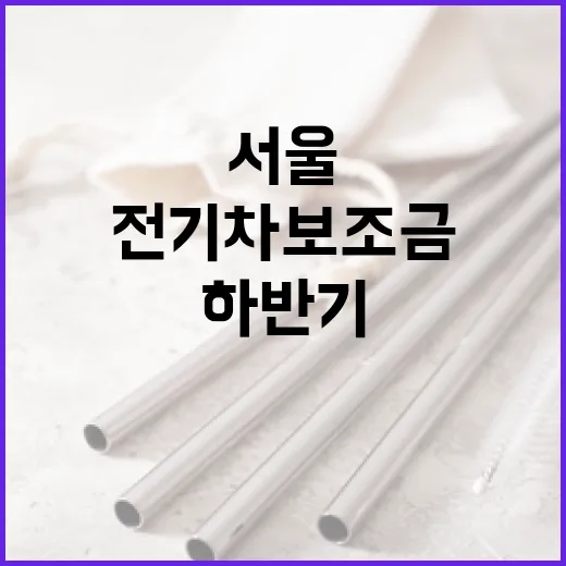 서울 하반기 전기차 보조금 신청 시작