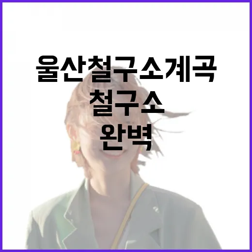 울산 철구소 계곡 완벽 가이드
