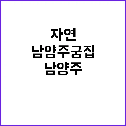 남양주 궁집, 전통…
