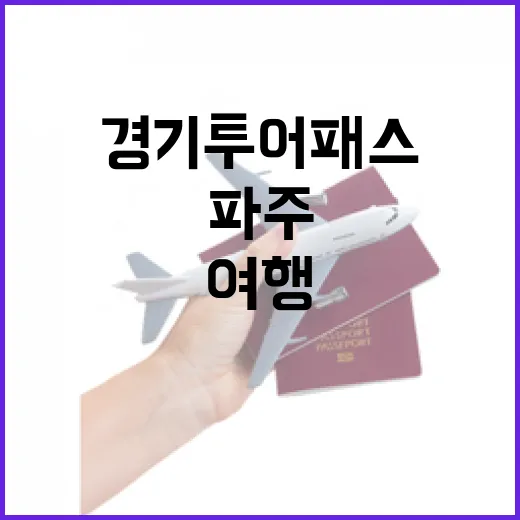 경기투어패스로 즐기는 파주 일일 여행