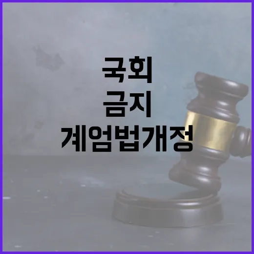 계엄법 개정, 국회 출입 방해 엄격 금지