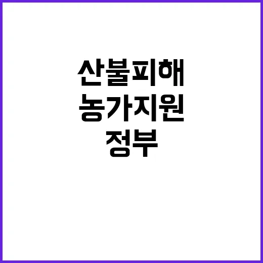 산불 피해 농가 지…