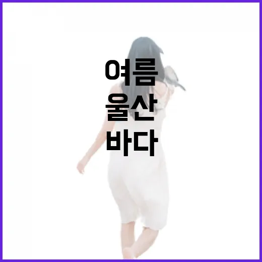 울산 바다와 회덮밥의 여름 매력