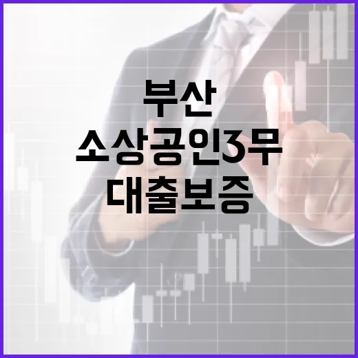 부산 소상공인 3무 대출 보증 지원 본격화