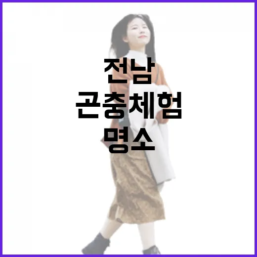 전남 곤충체험 명소 4선