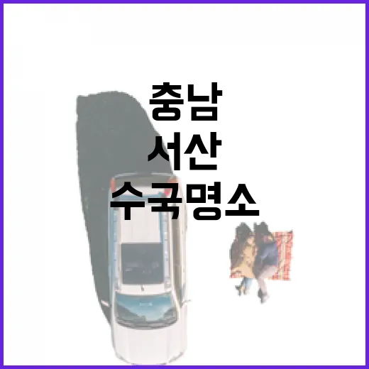 서산 모월힐링숲, 충남 수국 명소로 부상