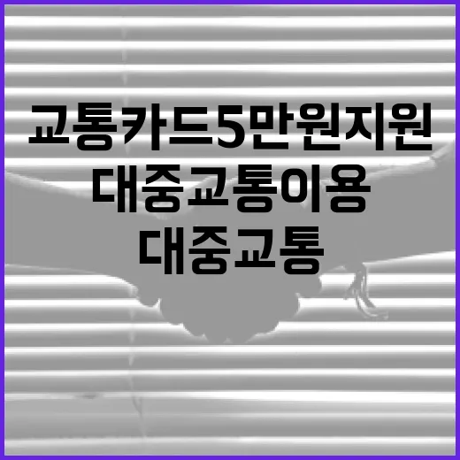 대중교통 이용하면 교통카드 5만원 지원