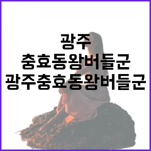 광주 충효동 왕버들군, 여름 무더위 쉼터
