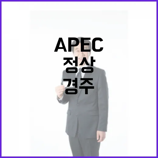 경주서 열리는 APEC 정상회의, 이 대통령 회원국에 초청 서한 발송