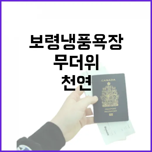 보령 냉풍욕장, 여름 무더위 속 천연 피서지