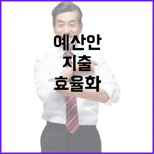 내년 예산안, 강도 높은 지출 효율화 추진