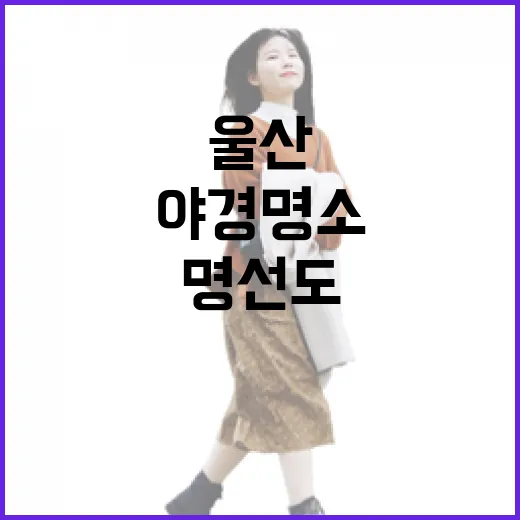 울산 명선도 야경 명소 재개장 소식